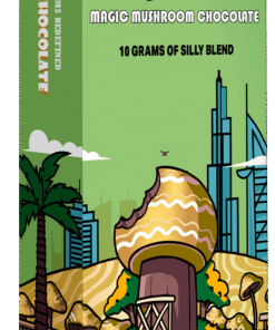 Dubai Chocolate