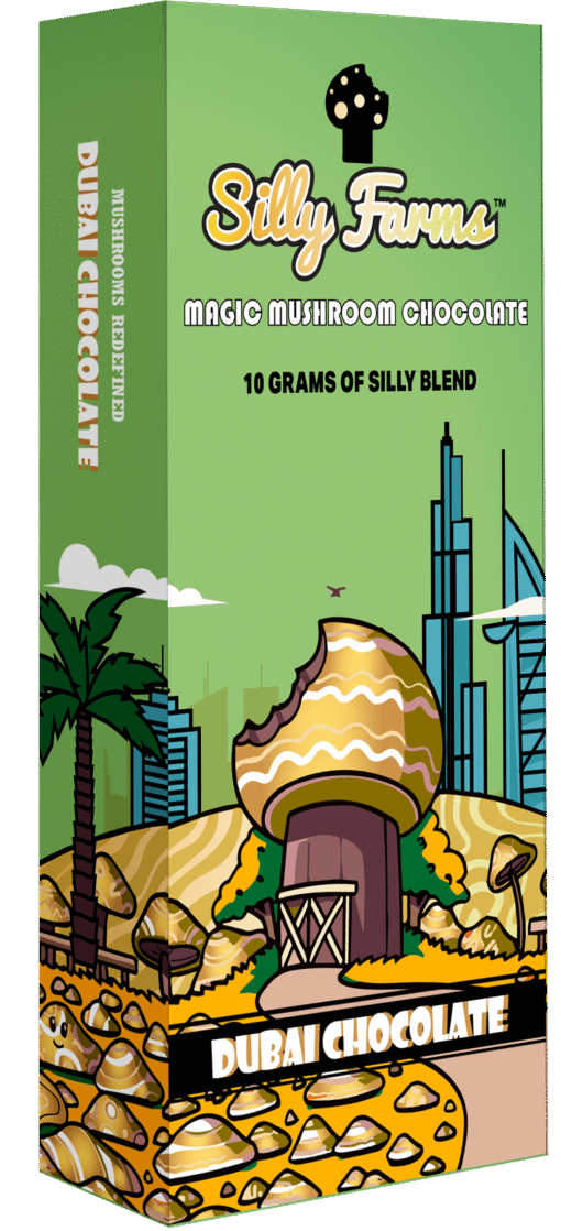 Dubai Chocolate