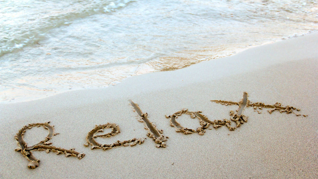 Best Mushroom Chocolates for Focus, Relaxation and Creativity